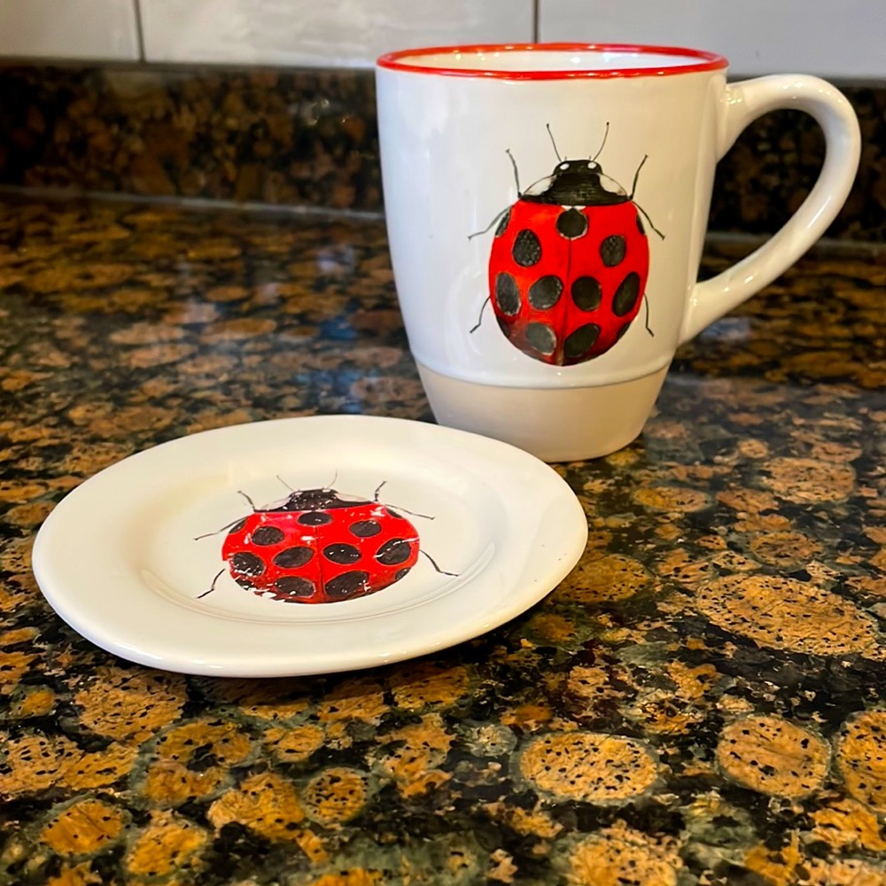 Ladybug mug and saucer